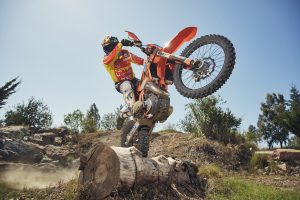 ISDE 2019 - REDD