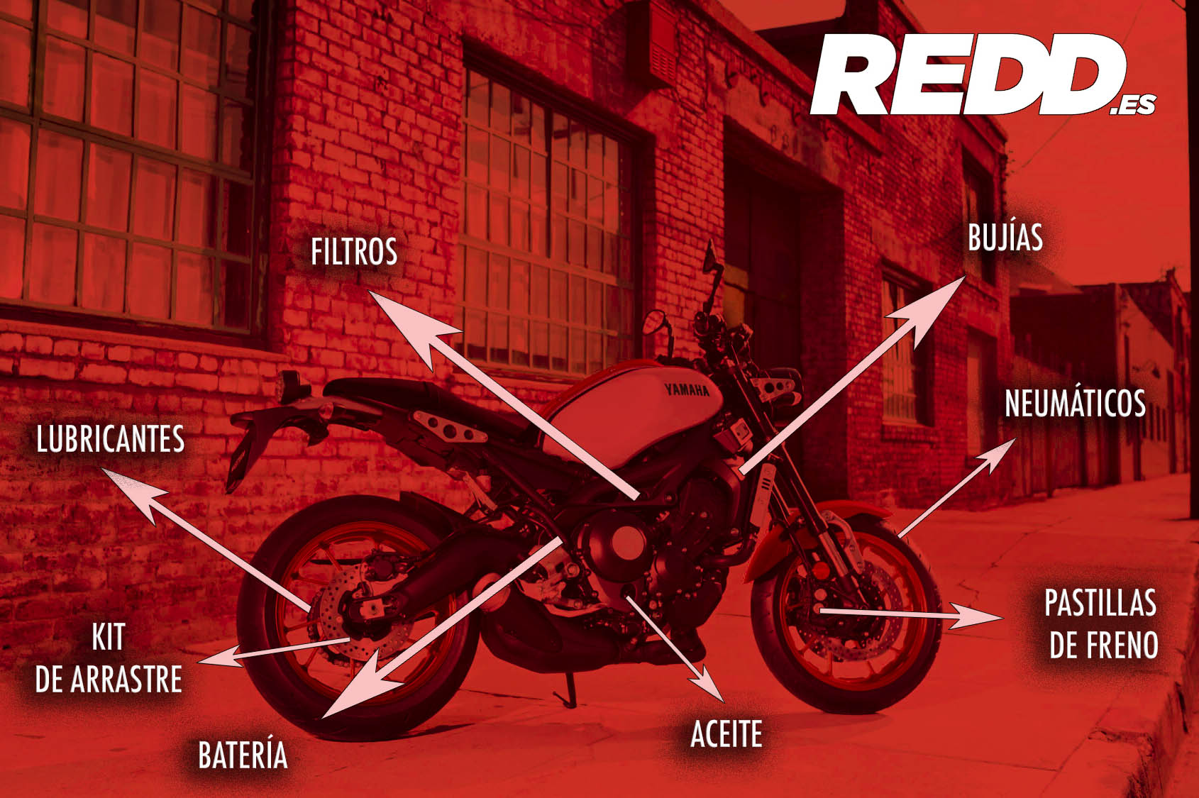 Componentes REDD