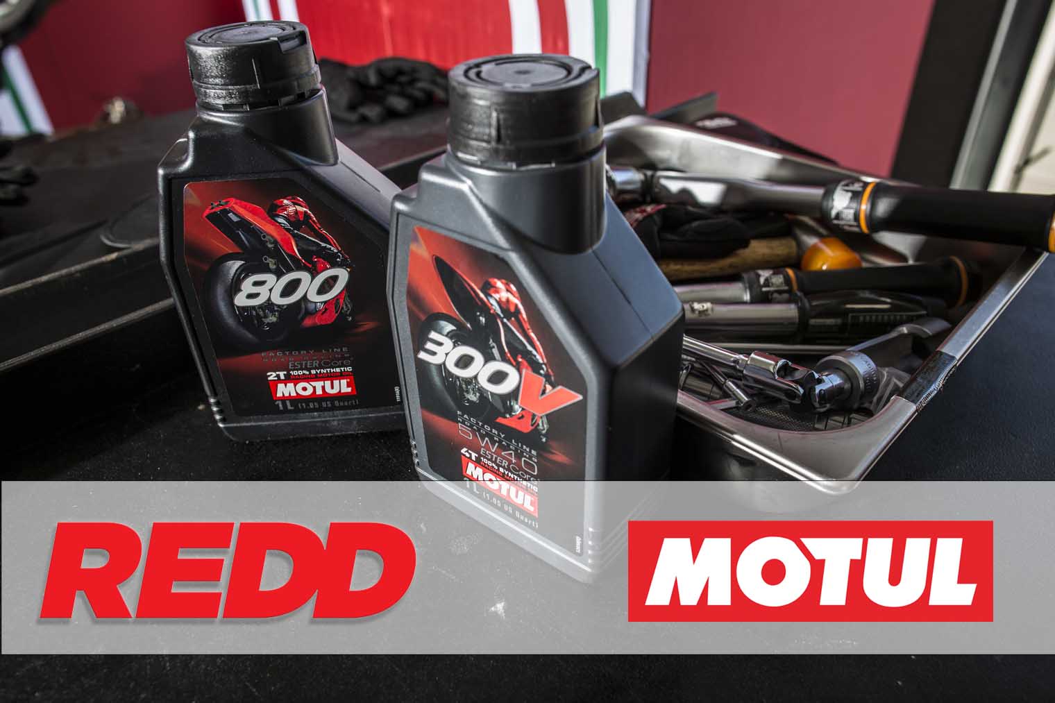 REDD Parts y Motul
