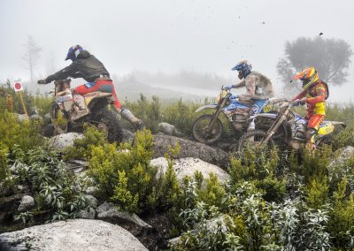 ISDE 2019 REDD