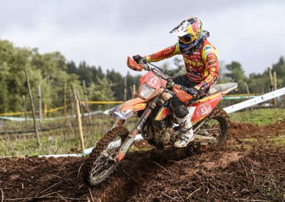 ISDE 2019 REDD