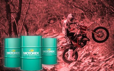 ¿Cuánto sabes de…. Motorex?